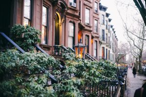 A Brooklyn neighborhood with greenery 