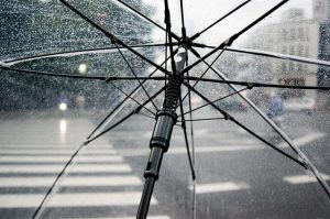 Looking at the rain through a transparent umbrella.